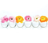 Caterpillar Vase Vase Foxyavenue UK